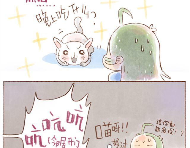 怂猫超有用！-第31话