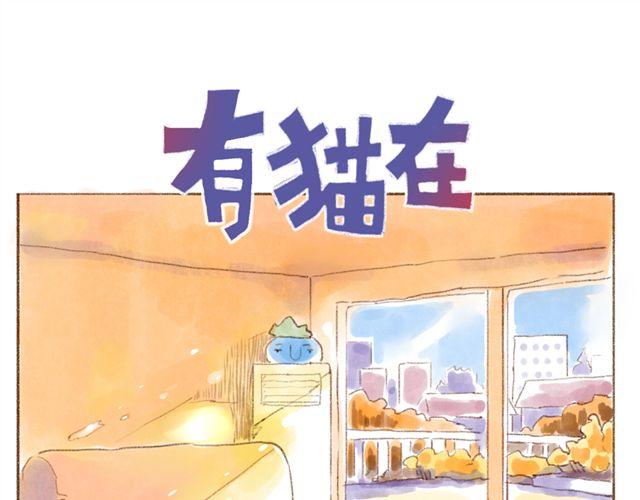 冬天与猫的游戏-第33话