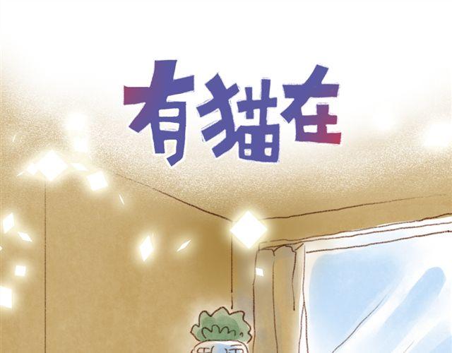同样都是猫，为什么差别这么大-第35话