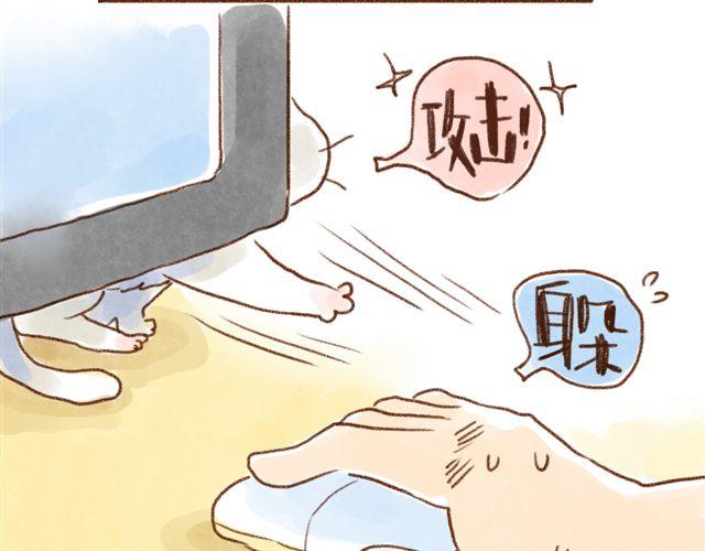 同样都是猫，为什么差别这么大-第35话