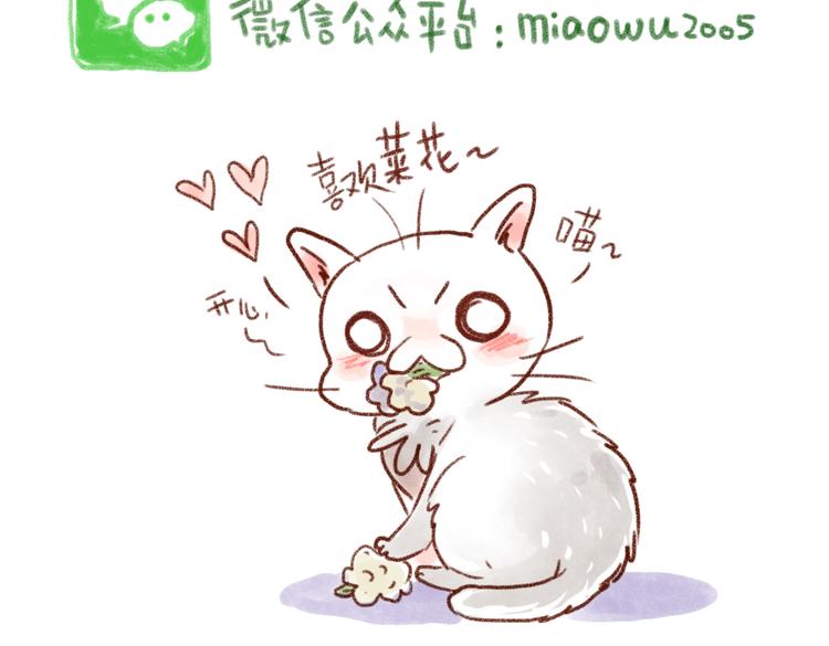 小嘿嘿的心思你别猜！-第37话