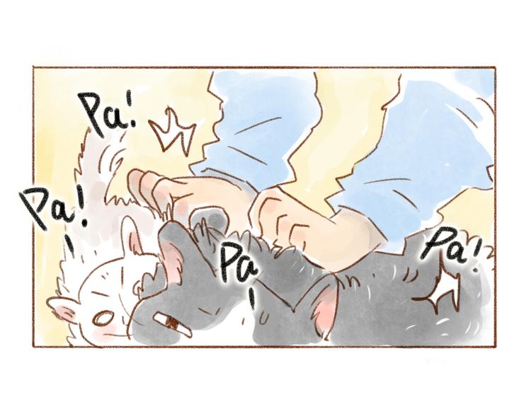 一起噼里啪啦-第41话