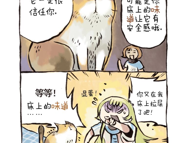 番外 麦麦是猫奴-第43话