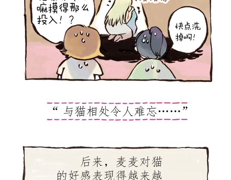 番外 麦麦是猫奴-第43话
