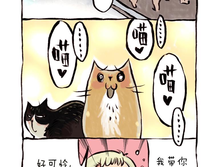 番外 麦麦是猫奴-第43话