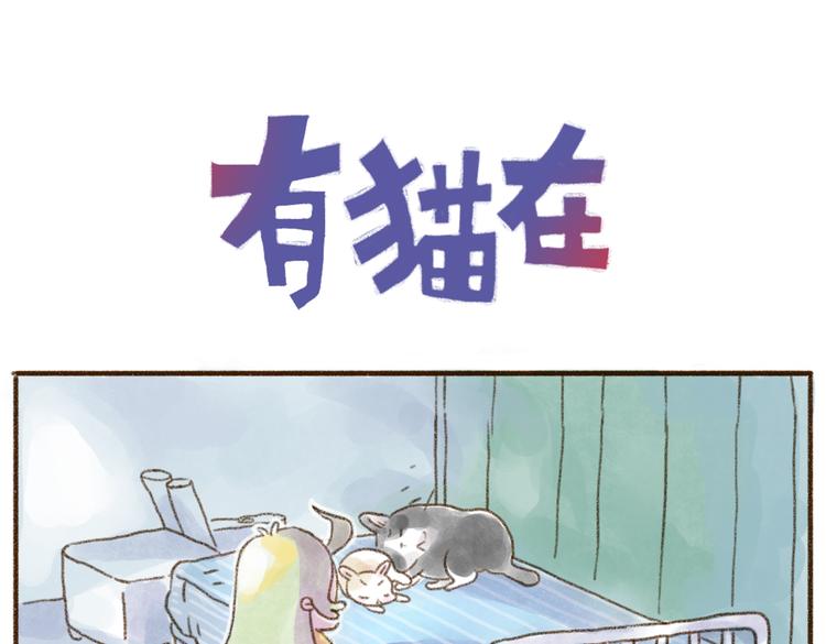 猫大王的挑战！-第61话