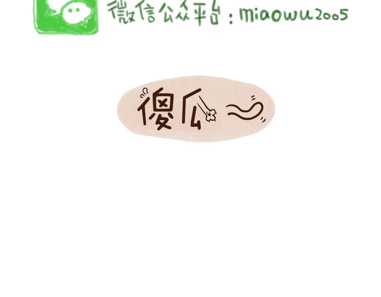 什么样的主人什么样的猫~-第75话