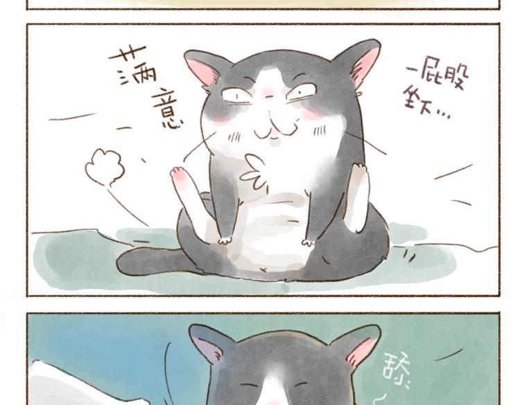 什么样的主人什么样的猫~-第75话