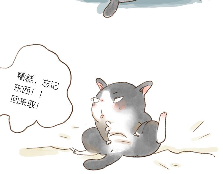 什么样的主人什么样的猫~-第75话