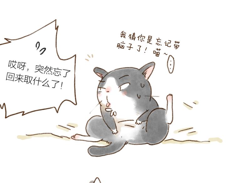 什么样的主人什么样的猫~-第75话