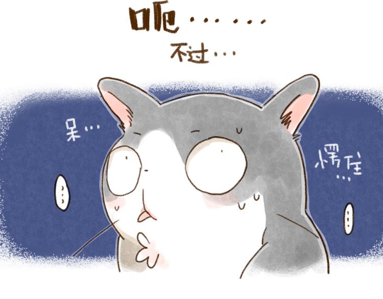 什么样的主人什么样的猫~-第75话