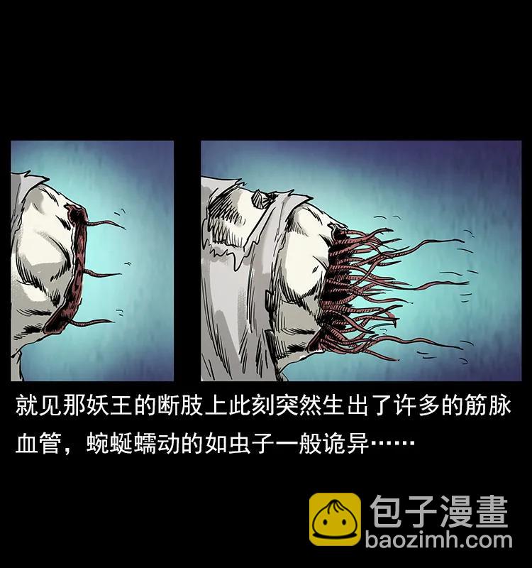 🍜幽冥诡匠 108 九莲困神阵 第30页