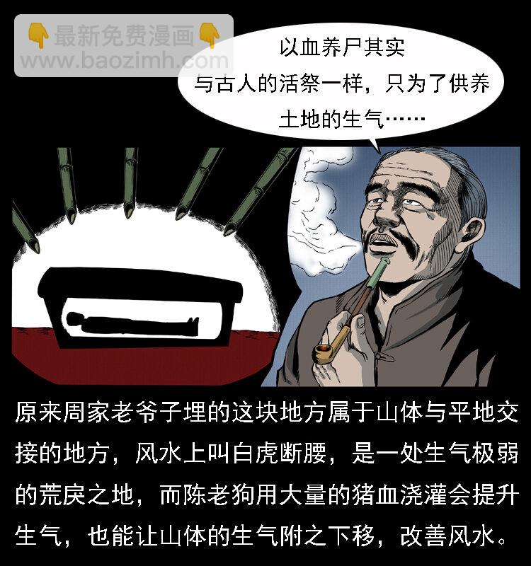 🍜幽冥诡匠 013 养尸地 第25页