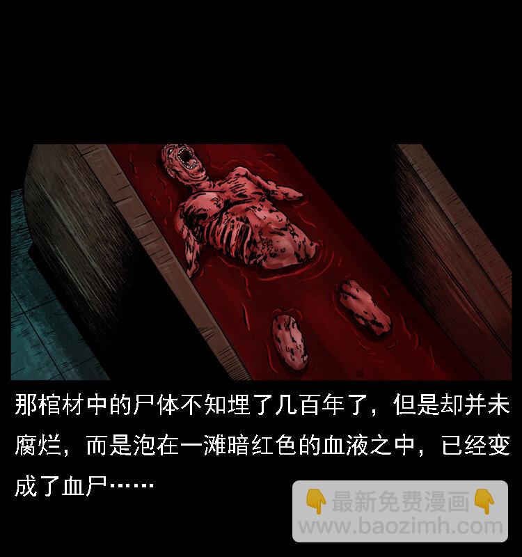 🍜幽冥诡匠 013 养尸地 第43页