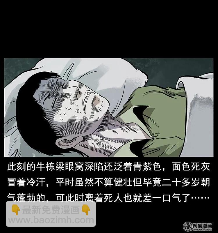 🍜幽冥诡匠 119 殃 第15页