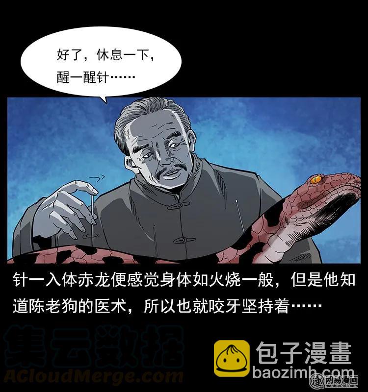 🍜幽冥诡匠 119 殃 第5页