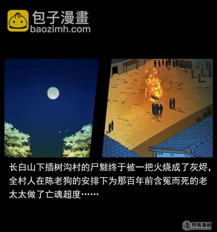 🍜幽冥诡匠 137 长白山毛脸怪 第2页