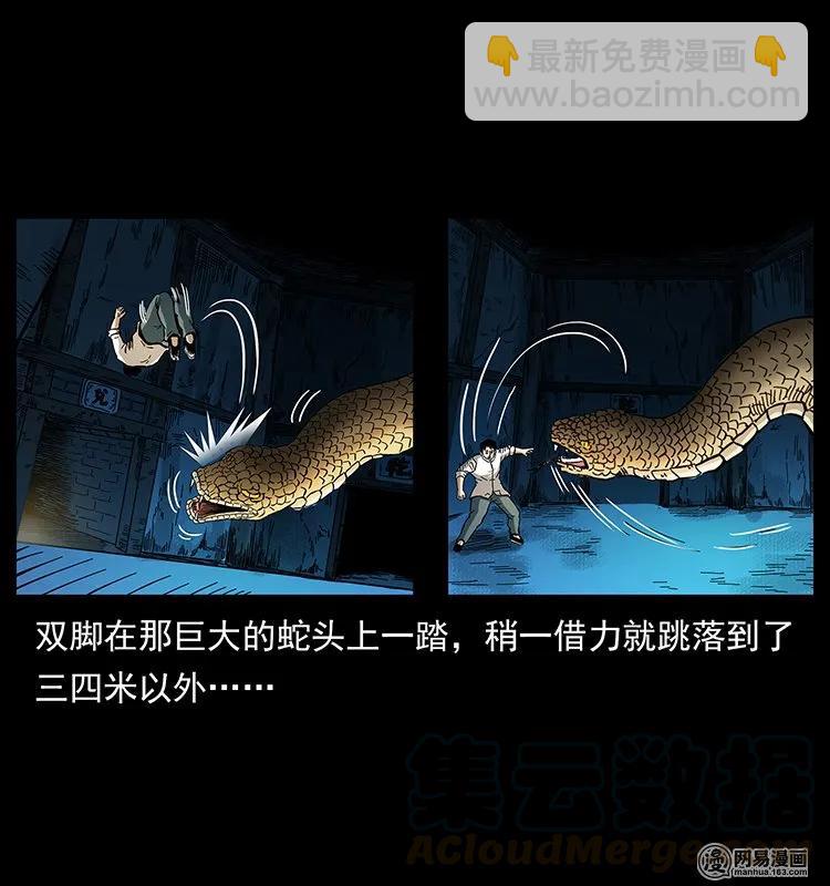 🍜幽冥诡匠 139 巨兽凶蟒 第17页