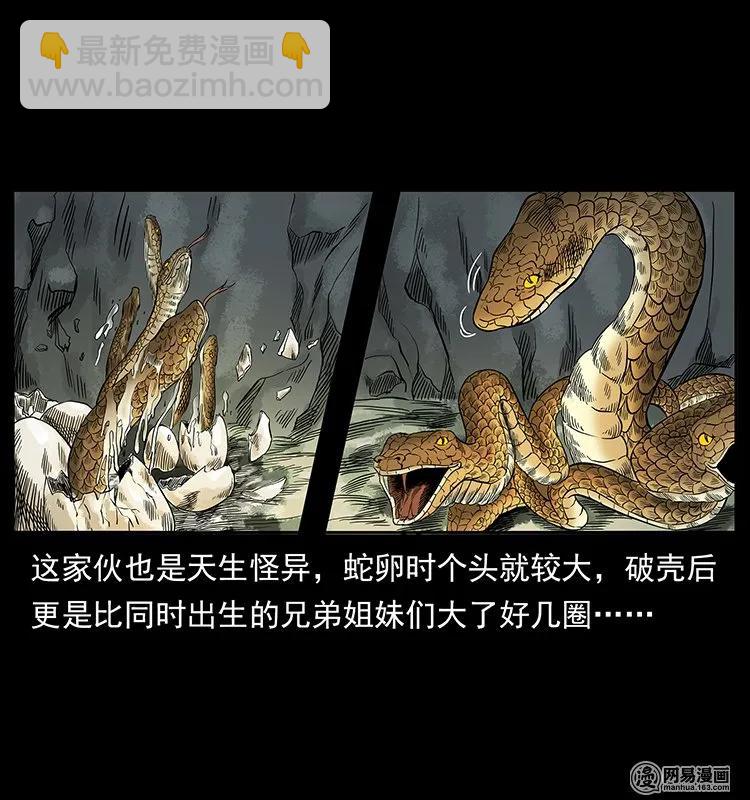🍜幽冥诡匠 139 巨兽凶蟒 第42页