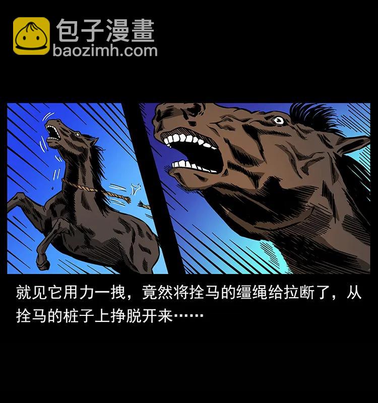 🍜幽冥诡匠 157 妖驹驮尸 第28页