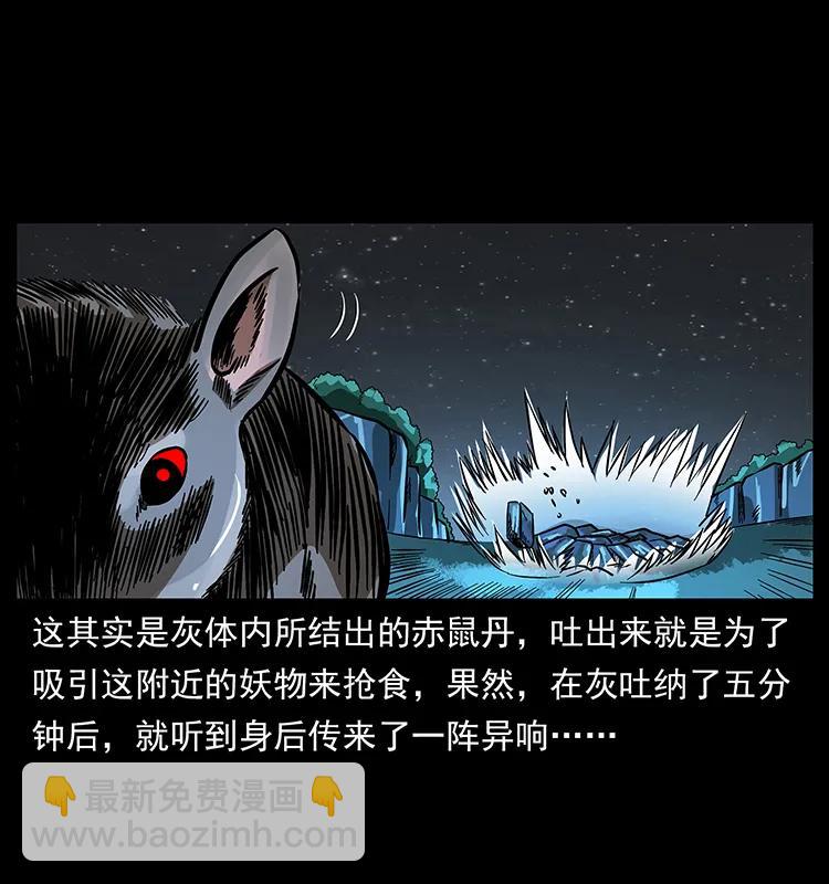 🍜幽冥诡匠 163 陈老狗下南疆 第10页
