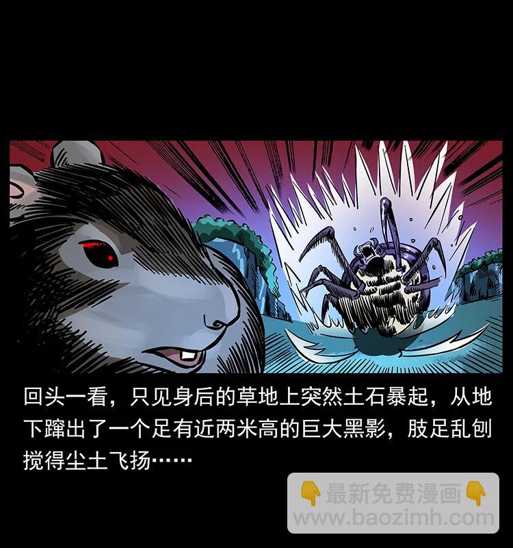 🍜幽冥诡匠 163 陈老狗下南疆 第11页