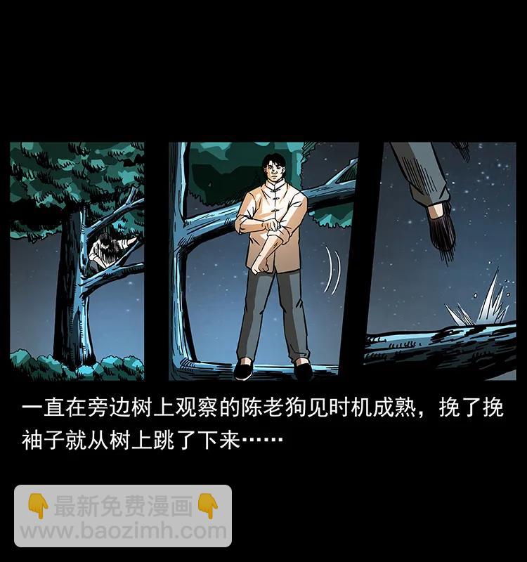 🍜幽冥诡匠 163 陈老狗下南疆 第15页