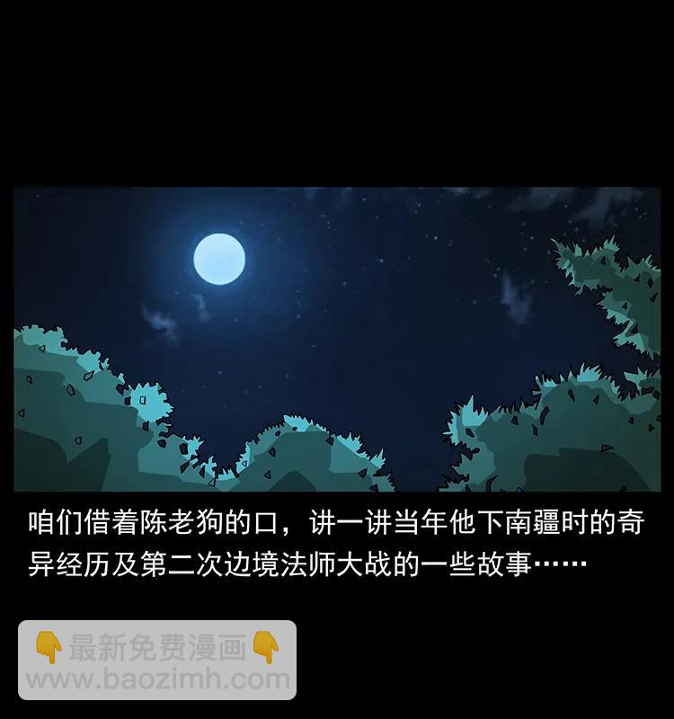 🍜幽冥诡匠 163 陈老狗下南疆 第2页
