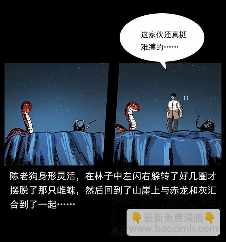 🍜幽冥诡匠 163 陈老狗下南疆 第21页