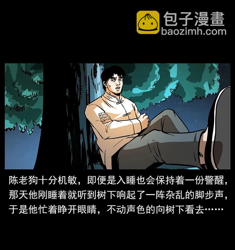 🍜幽冥诡匠 163 陈老狗下南疆 第27页