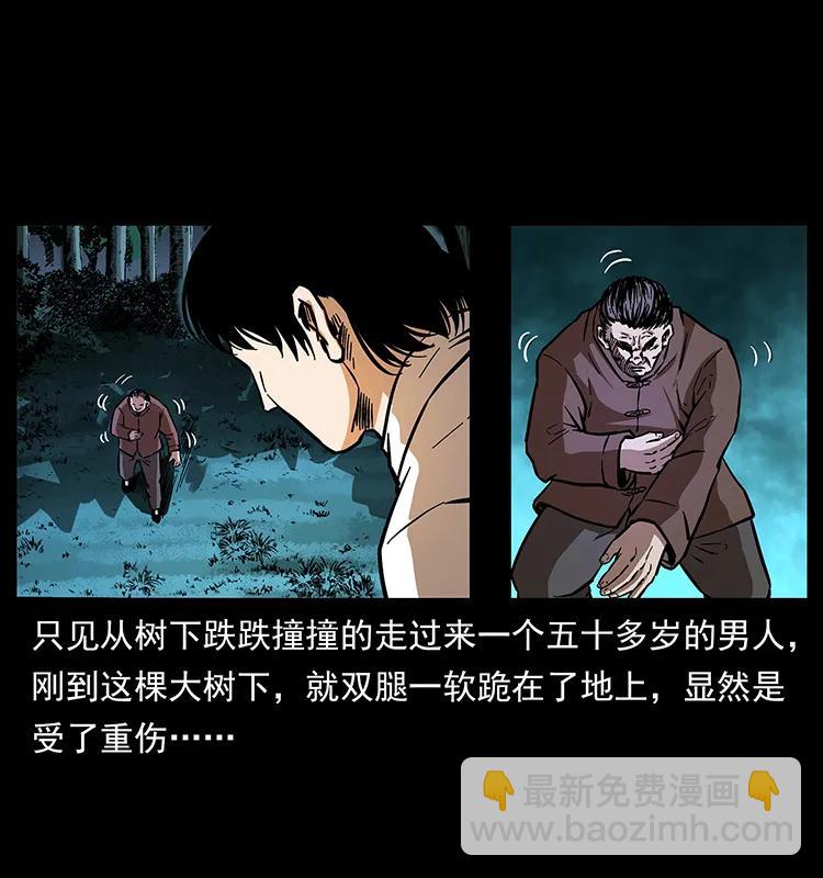 🍜幽冥诡匠 163 陈老狗下南疆 第28页