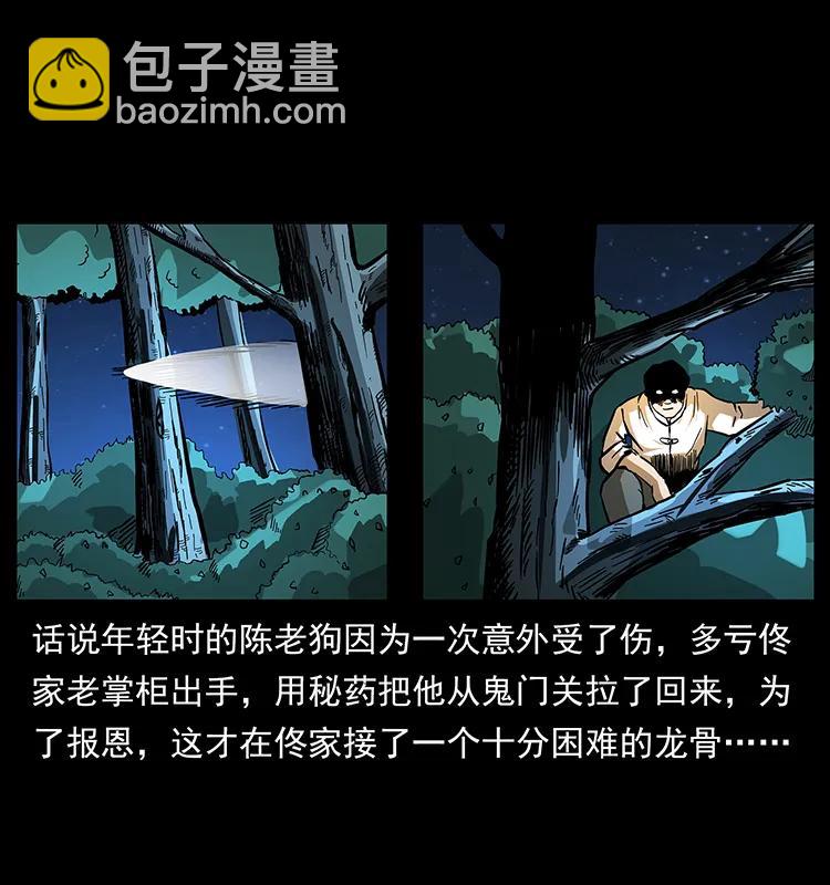 🍜幽冥诡匠 163 陈老狗下南疆 第3页