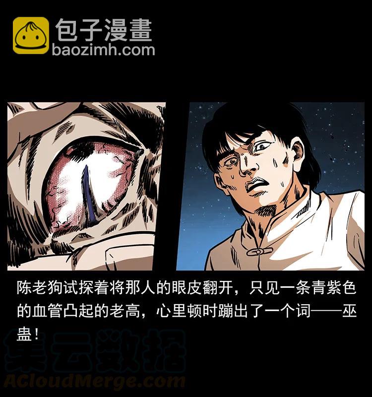 🍜幽冥诡匠 163 陈老狗下南疆 第33页