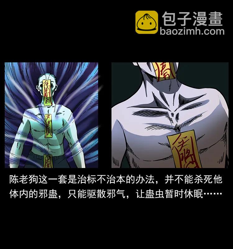 🍜幽冥诡匠 163 陈老狗下南疆 第36页
