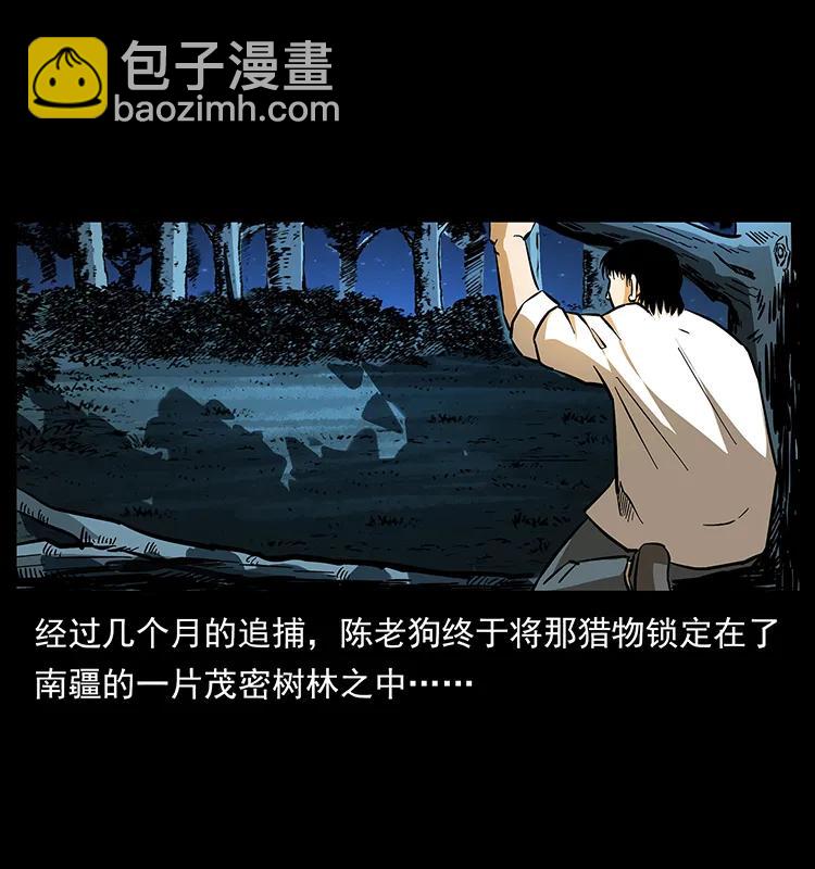 🍜幽冥诡匠 163 陈老狗下南疆 第4页