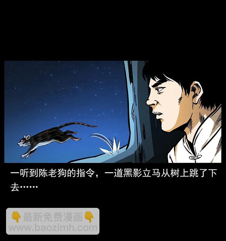 🍜幽冥诡匠 163 陈老狗下南疆 第7页