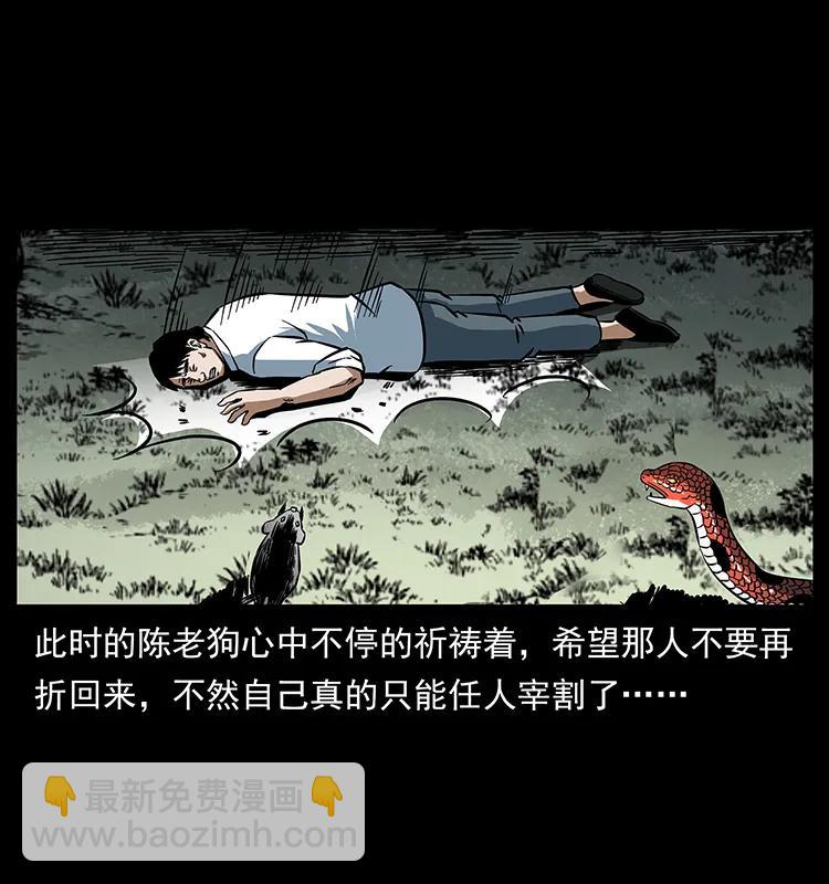 🍜幽冥诡匠 167 陈老狗遇险 第43页