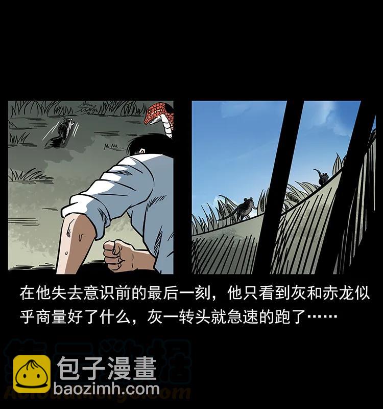🍜幽冥诡匠 167 陈老狗遇险 第45页