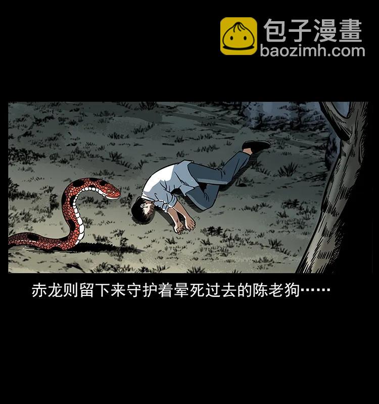 🍜幽冥诡匠 167 陈老狗遇险 第46页