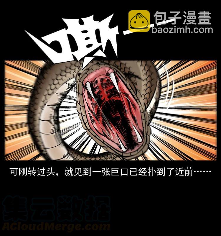 🍜幽冥诡匠 189 龙家的实力 第13页