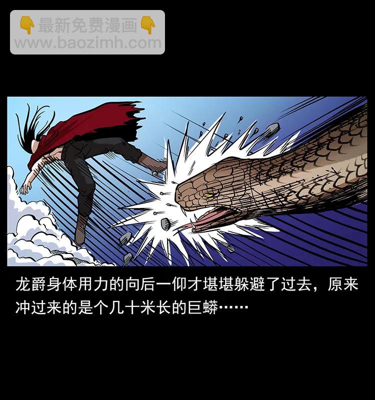 🍜幽冥诡匠 189 龙家的实力 第14页