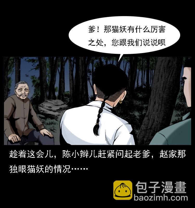 🍜幽冥诡匠 003 赵家的猫 第17页