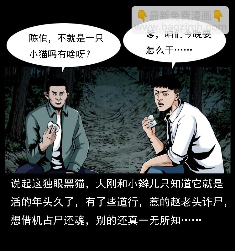 🍜幽冥诡匠 003 赵家的猫 第18页