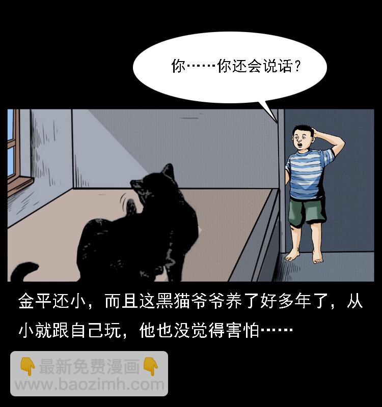 🍜幽冥诡匠 003 赵家的猫 第38页
