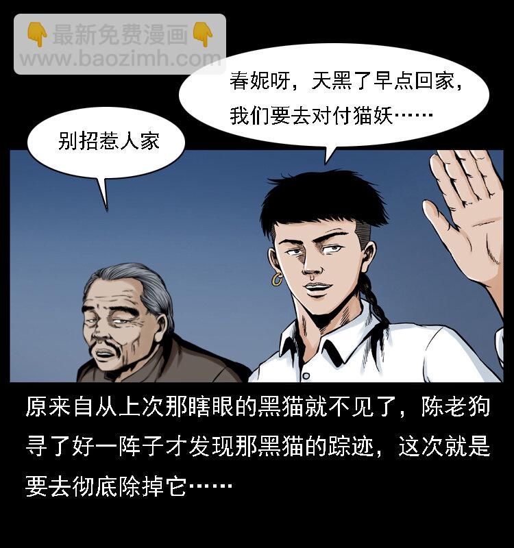 🍜幽冥诡匠 003 赵家的猫 第4页