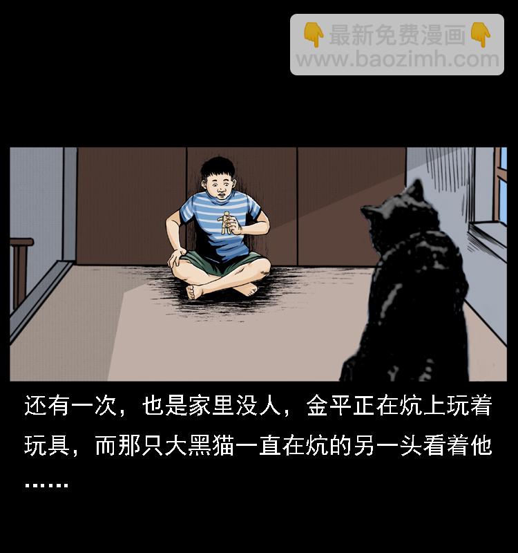 🍜幽冥诡匠 003 赵家的猫 第41页