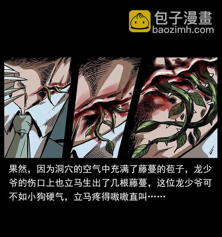 🍜幽冥诡匠 193 草蛊婆 第11页