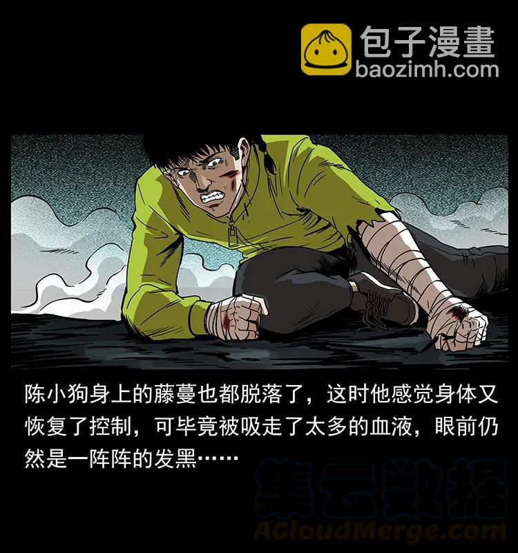 🍜幽冥诡匠 193 草蛊婆 第17页
