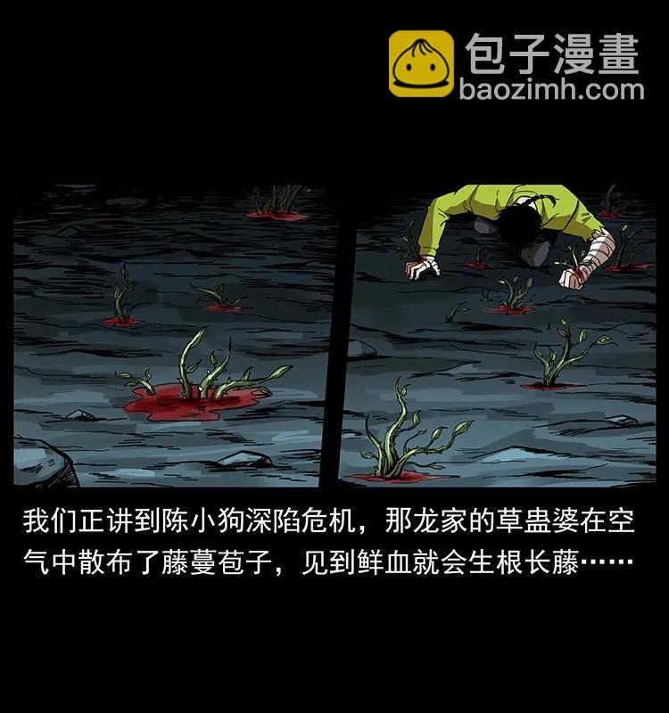 🍜幽冥诡匠 193 草蛊婆 第2页