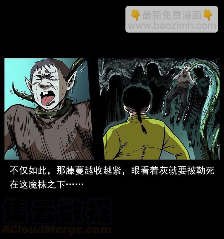 🍜幽冥诡匠 193 草蛊婆 第25页